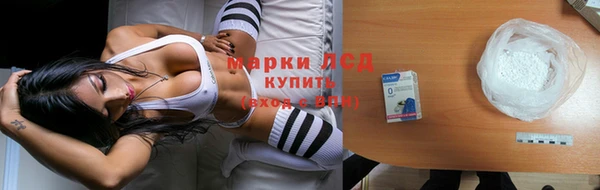 мяу мяу мука Абаза