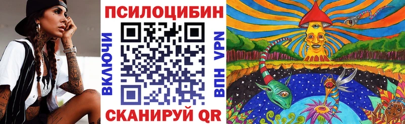 Галлюциногенные грибы Cubensis  Шлиссельбург 